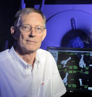 Prof Robert M Kirberger