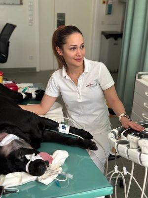 Yasamin Vali